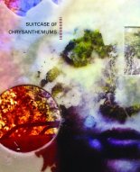 great weather for MEDIA: Suitcase of Chrysanthemums