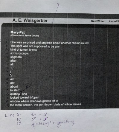 A E Weisgerber Fibonacci Microstructure Draft "Mary-Pat" anneweisgerber.com