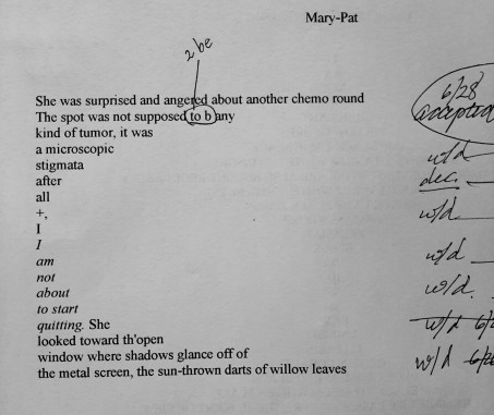 A E Weisgerber Fibonacci Microstructure Draft "Mary-Pat" anneweisgerber.com